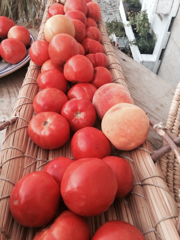 Su Tzilleri e le Cantine: Soaking Up The Sunshine