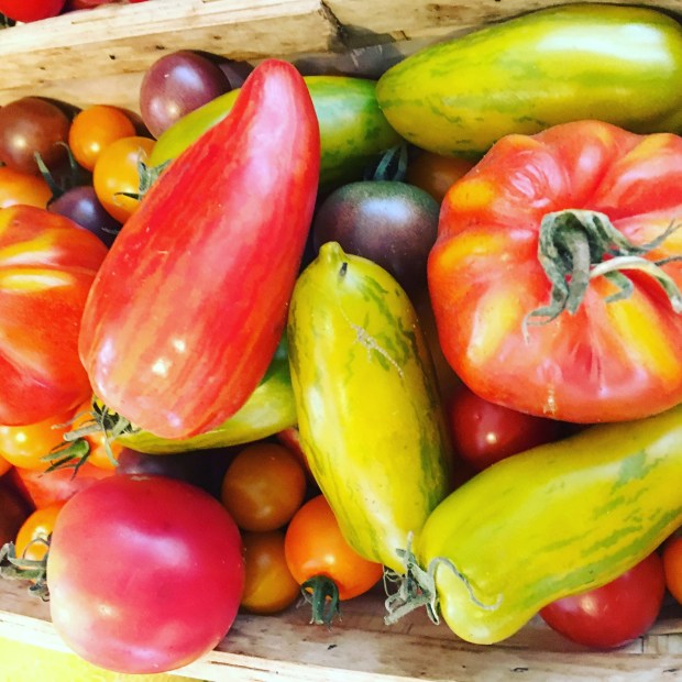 The language of flavour